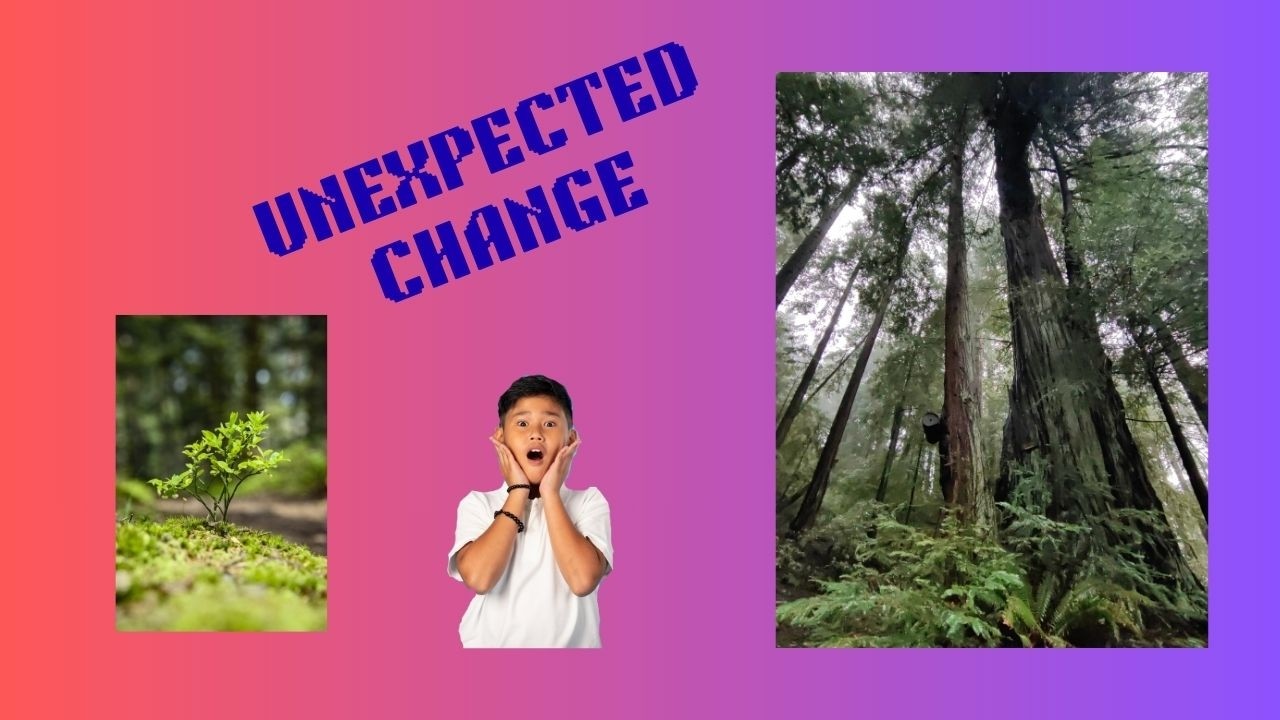 AN UNEXPECTED CHANGE