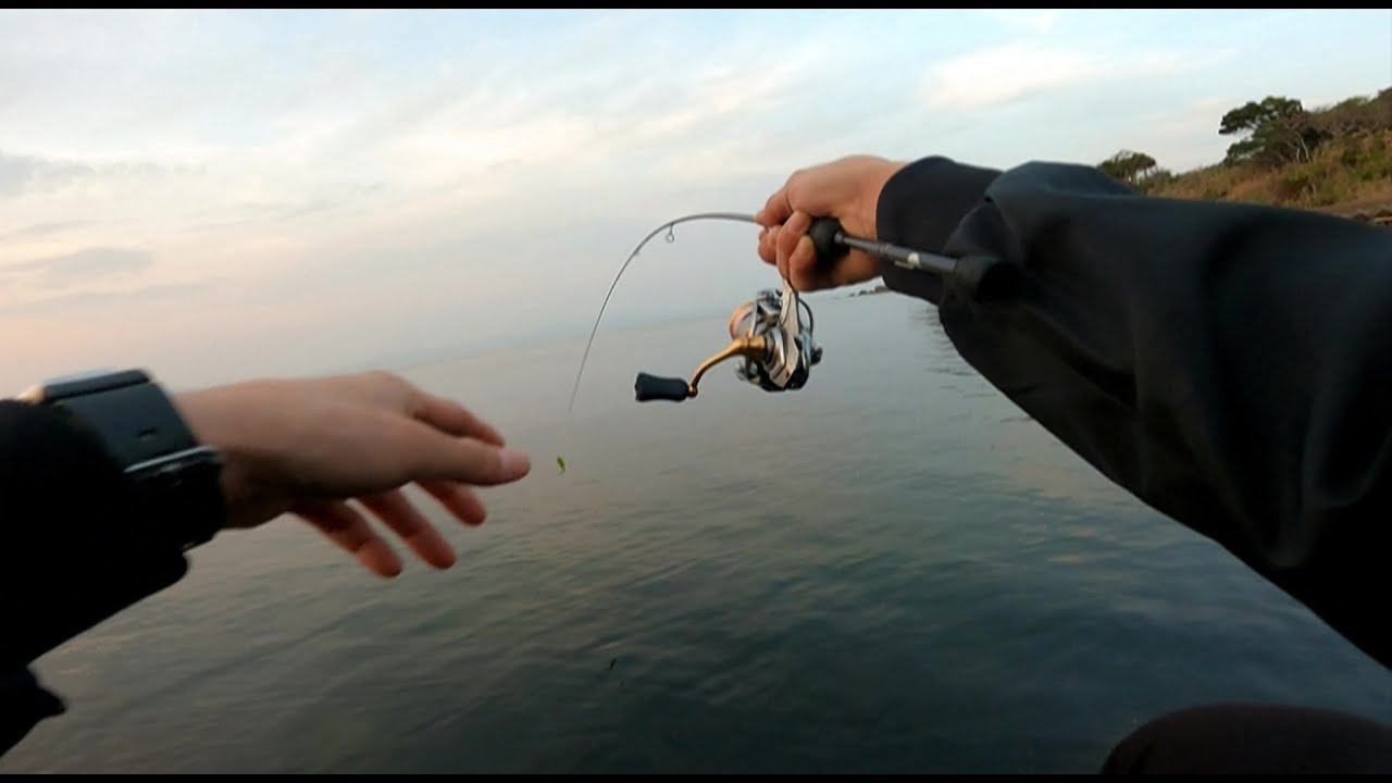 ［三河湾］モンスター級ロックフィッシュ