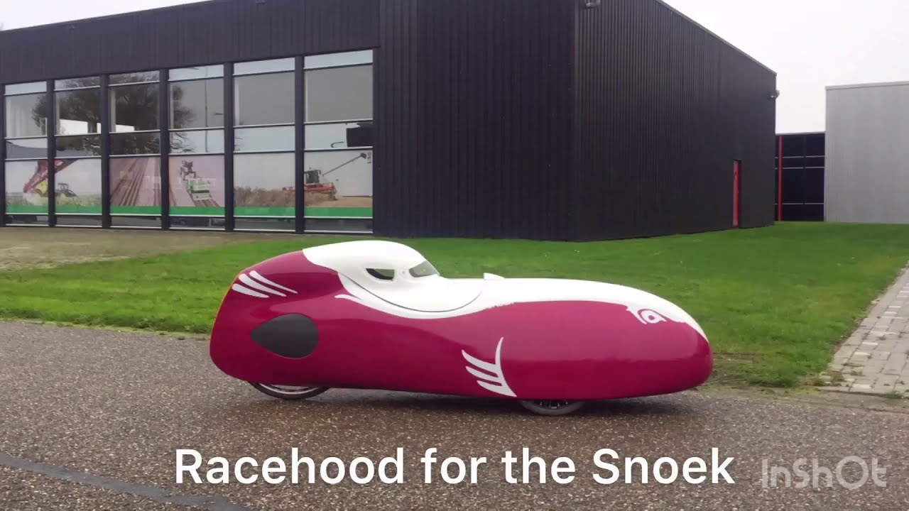Racehood for the Snoek