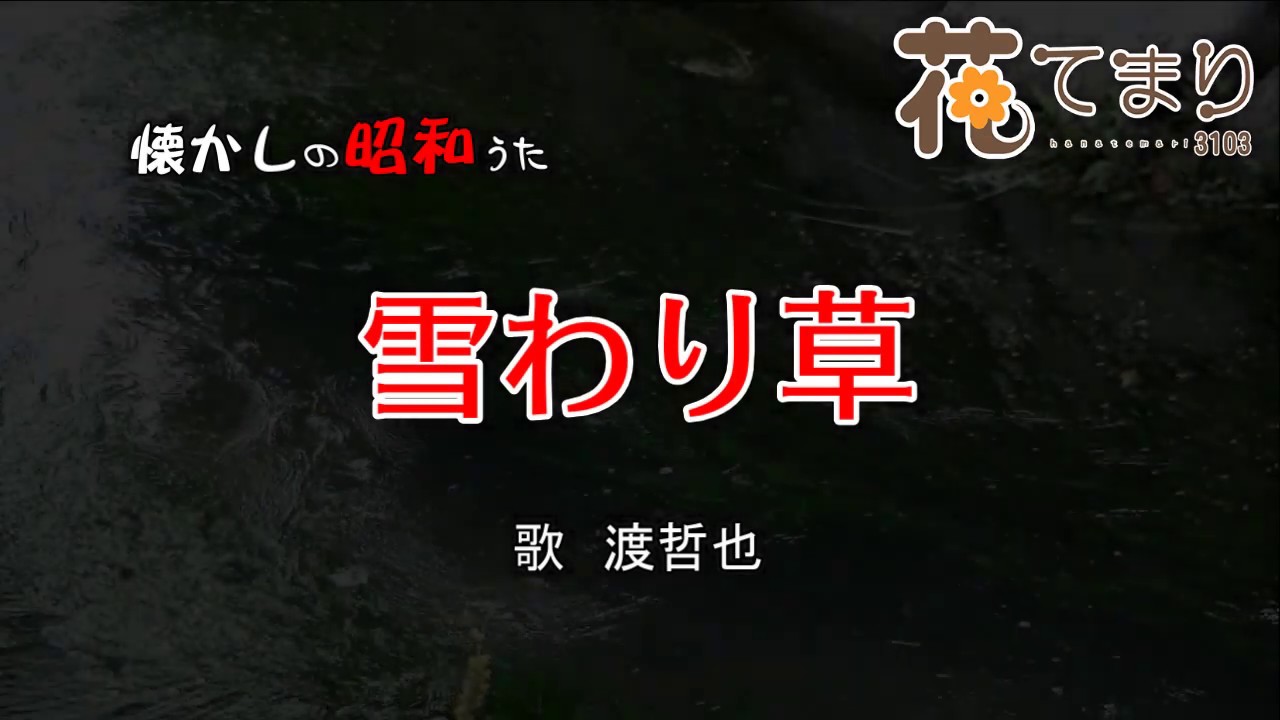 雪わり草　渡哲也　歌酒場Ｂ－3