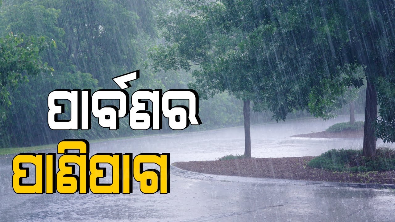 Odisha: Heavy To Very Heavy Rainfall Expected In Coastal Area, Red Warning In These Districts