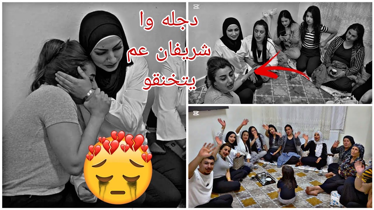 دجله وشريفان عم يتخنقو // شوفو شو سباب🥺