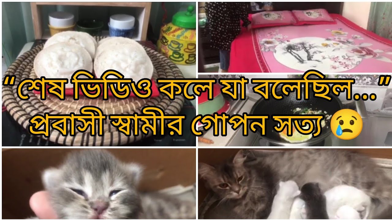 শেষে একটি পার্সেল খুলে জানলাম, সে কখনো প্রতারণা করেনি! 😭 সত্য জানার পর আমার বুকটাই ভেঙে গেল!