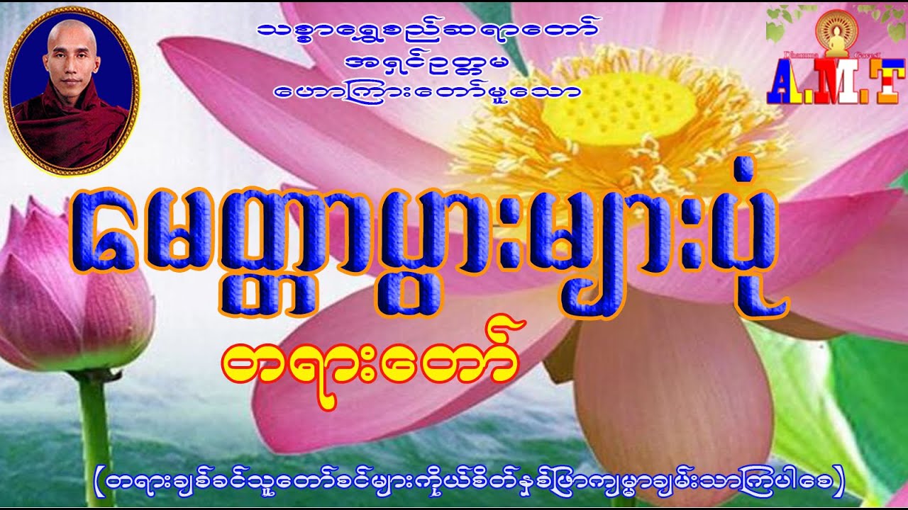 မတ္တောပွားများပုံ သစ္စာရွှေစည်ဆရာတော် အရှင်ဥတ္တမ