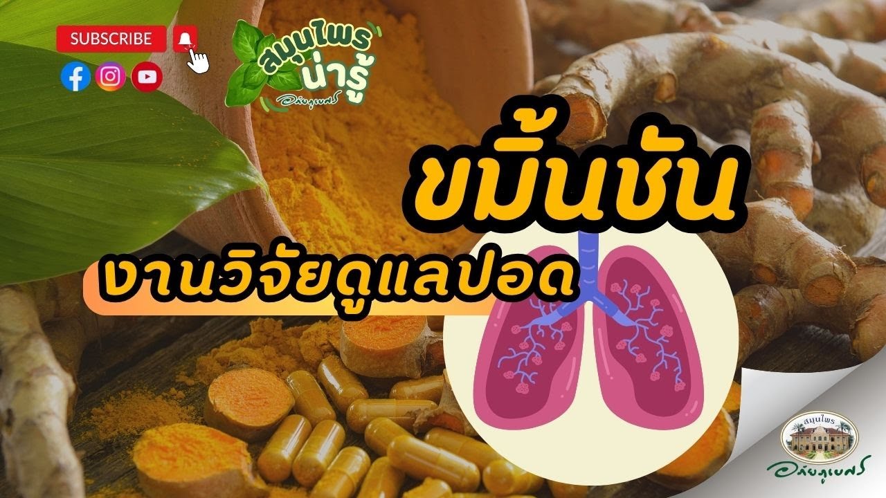 การกินขมิ้นชัน เพื่อช่วยดูแลปอด l สมุนไพรน่ารู้ อภัยภูเบศร (2024)