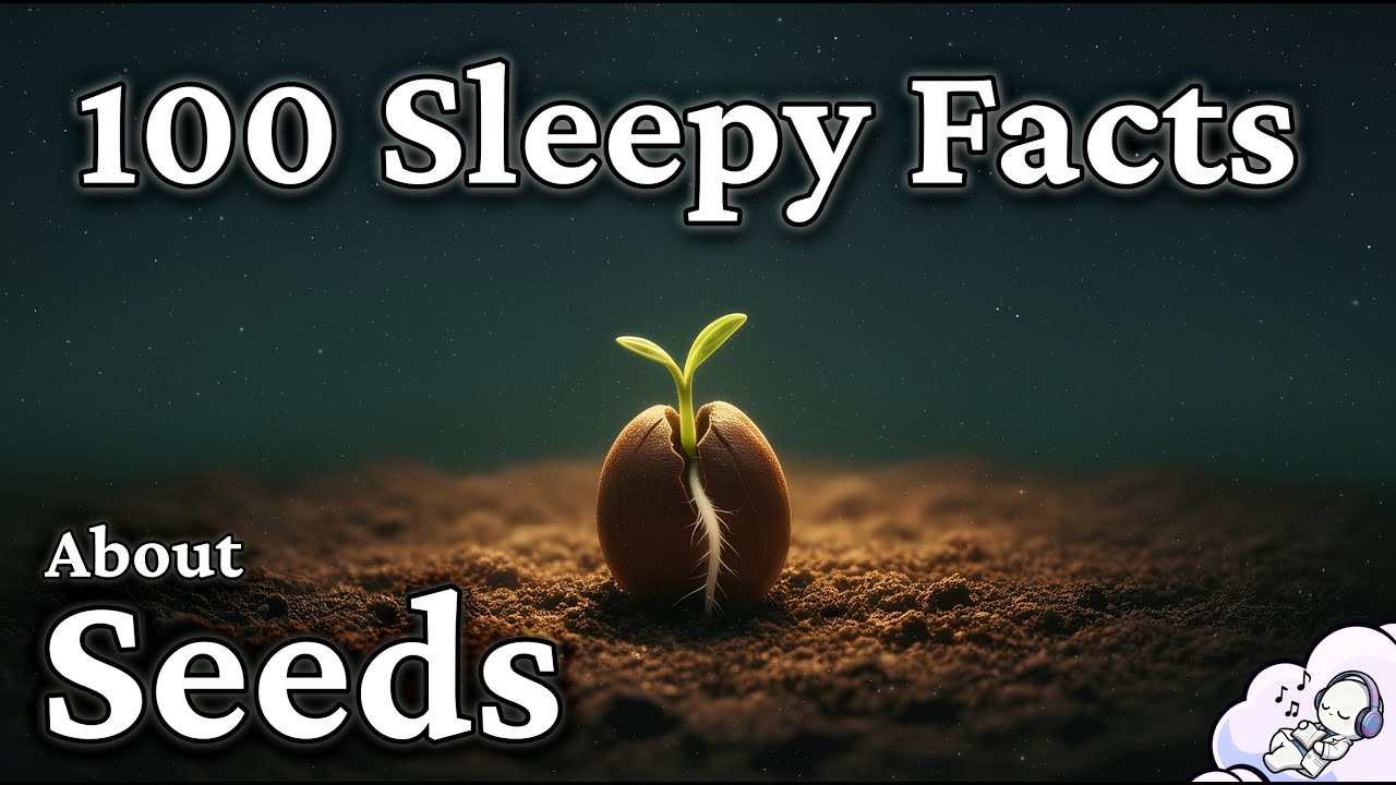 The Most Relaxing Facts About Seeds to Fall Asleep To