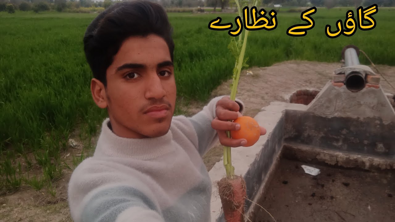 گاؤں کے نظارے ☀️🌴🌹||village vlogs 
