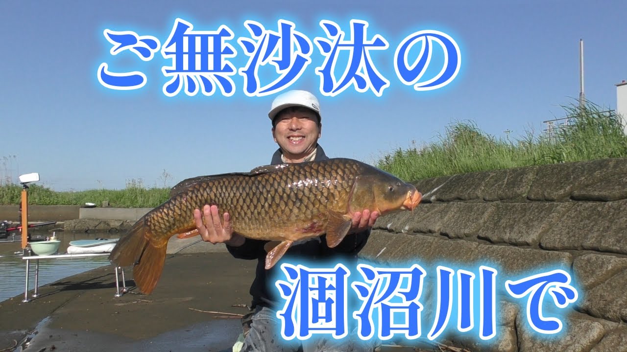 渡辺武の一緒に♥鯉釣りしませんか？～ご無沙汰の涸沼川に行って来ました！久しぶりの再会は出来るのでしょうか？の巻き～