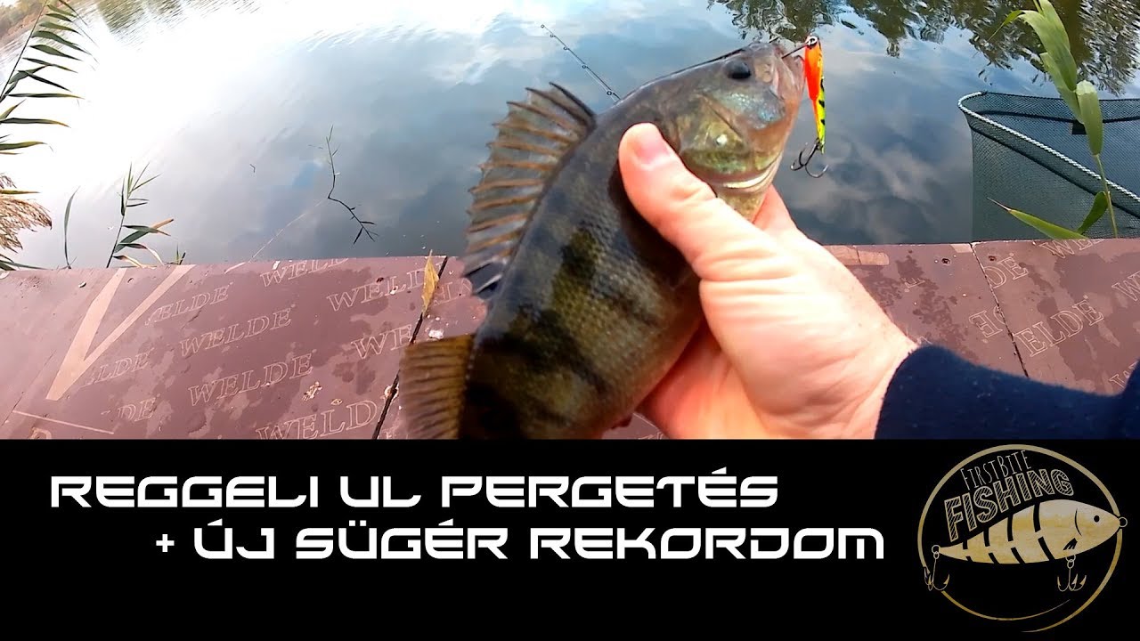 Reggeli UL perget&eacute;s + &uacute;j s&uuml;g&eacute;r rekordom