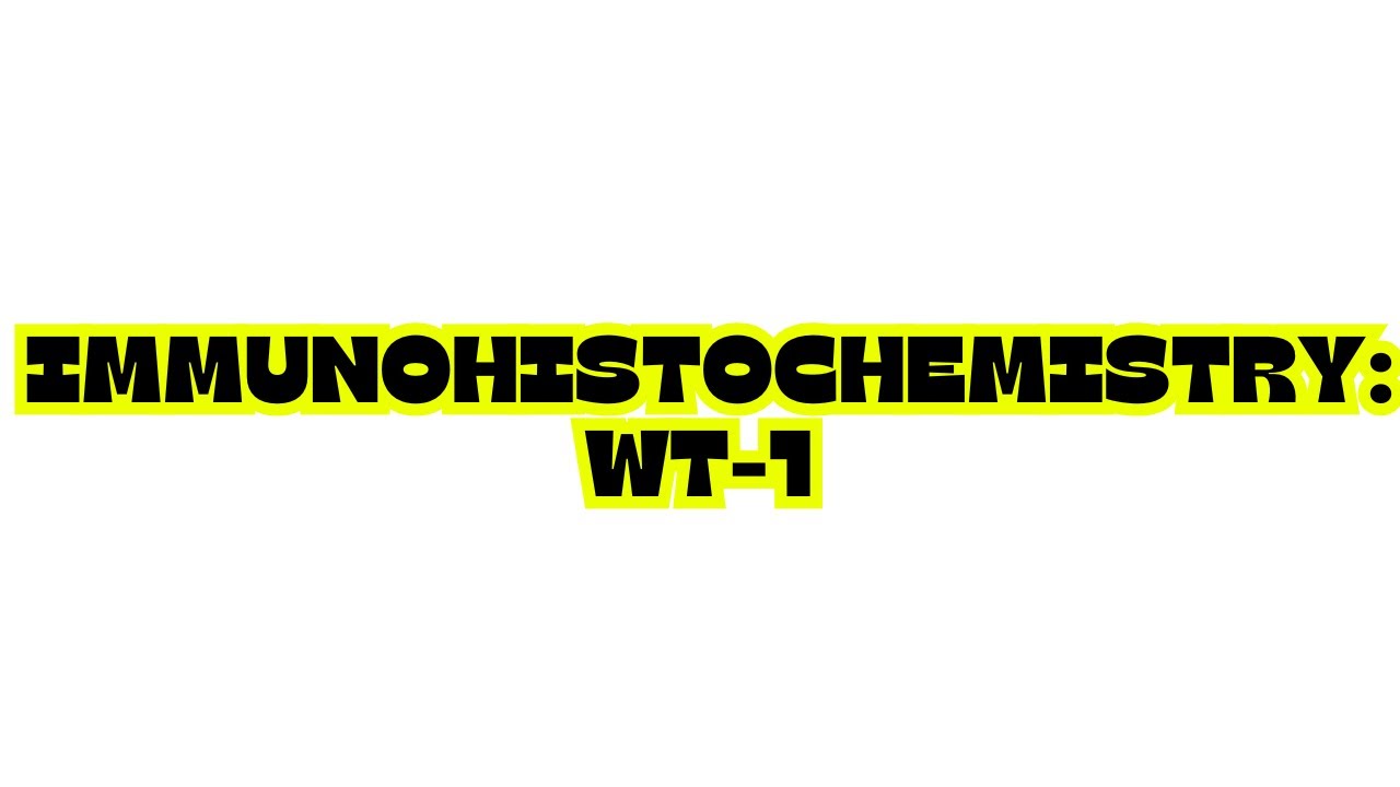 IMMUNOHISTOCHEMISTRY WT-1 (wilms tumor pathology)