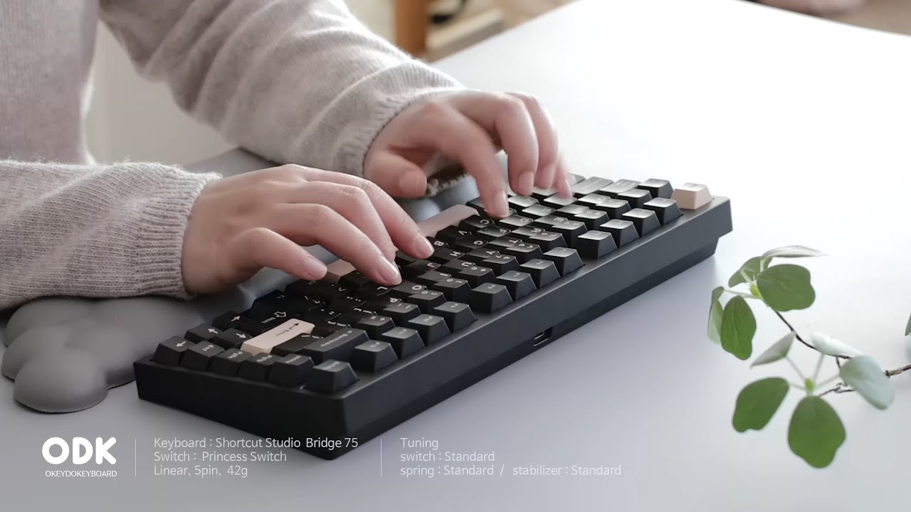 너와 나의 브릿지75 / Bridge75 / HMX V0