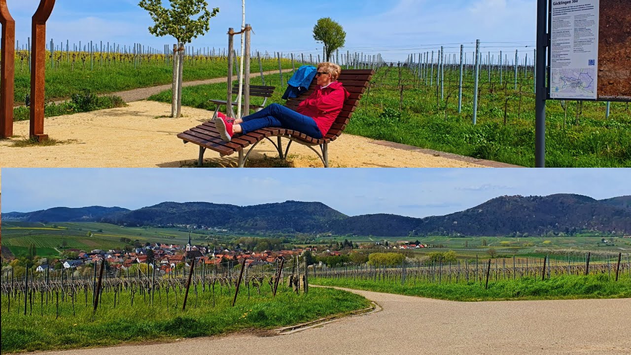 Fahrradtour in der frühlingshaften Südpfalz, gefilmt mit Insta Go 2,mitCap Cut bearbeitet.