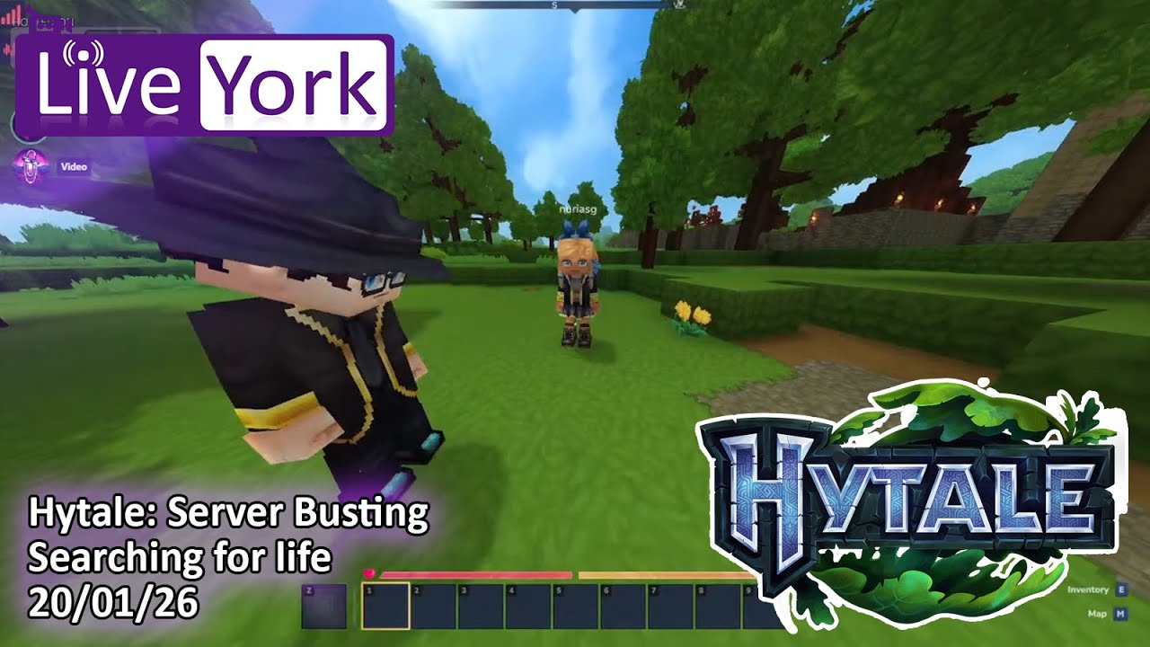 Hytale: Server Busting