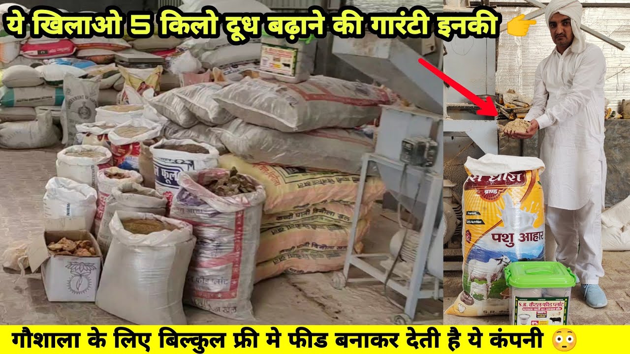 गौशाला के लिए बिल्कुल फ्री मे फीड बनाकर देती है ये कंपनी😳 गाय भैंस का 5 किलो दूध बढ़ाने की भी गारंटी