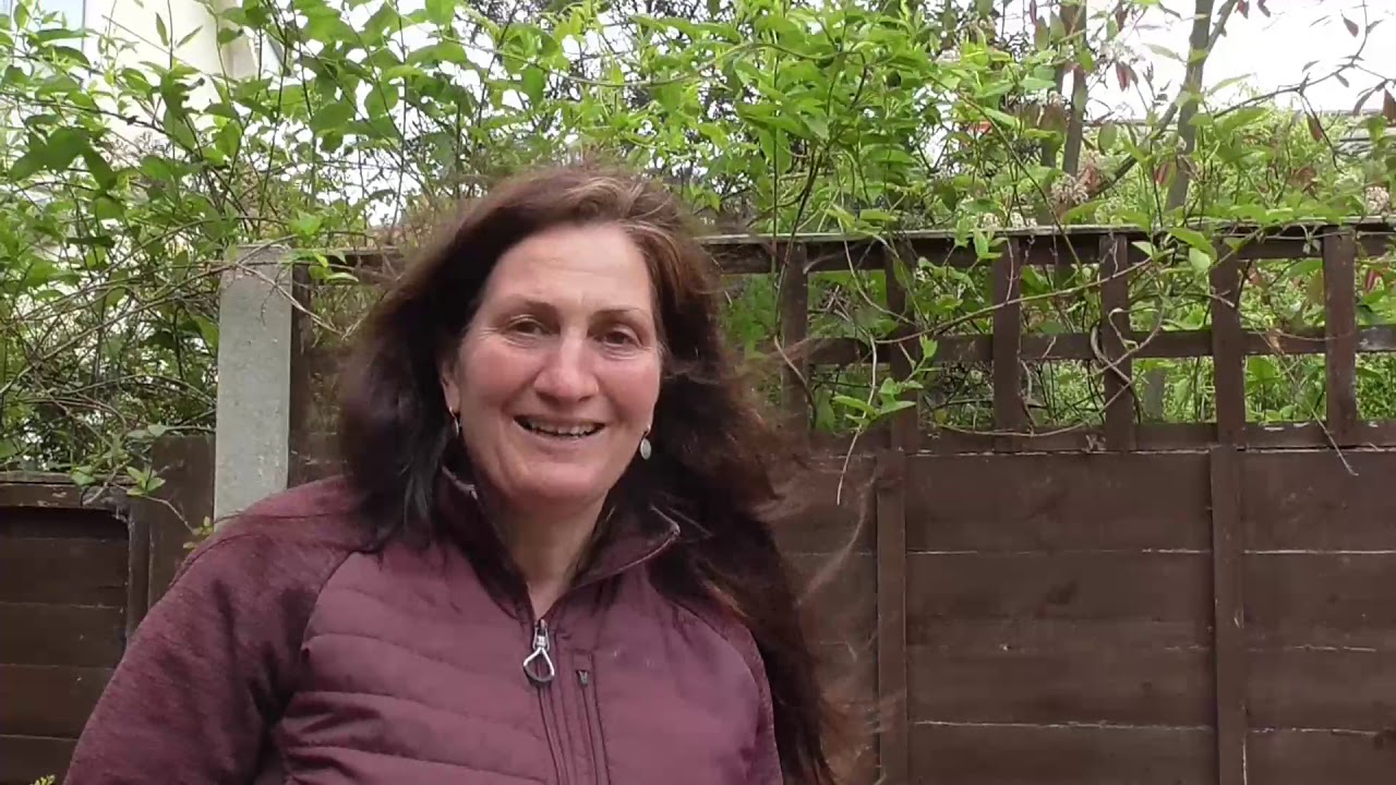 thinning vegetables in rows