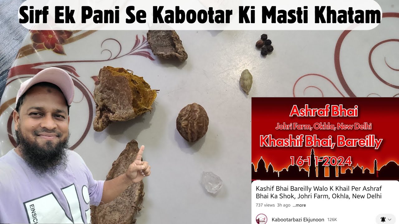 Kabootar Ki Masti Khatam Karne Ka Khel Pani ||@pigeonscarefactory5328