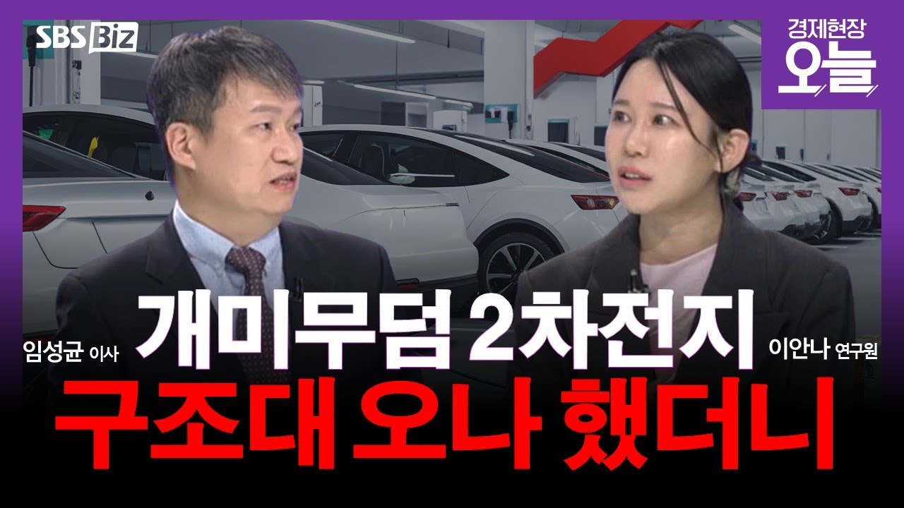 [집중진단] 에코프로 20% 반등&hellip;2차전지주 되살아날까?