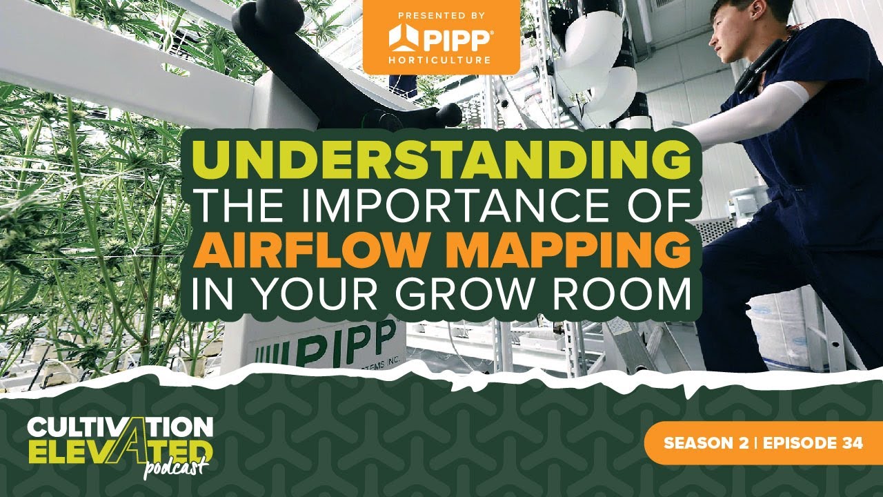 Understanding the Importance of Airflow Mapping in Your Grow Room
