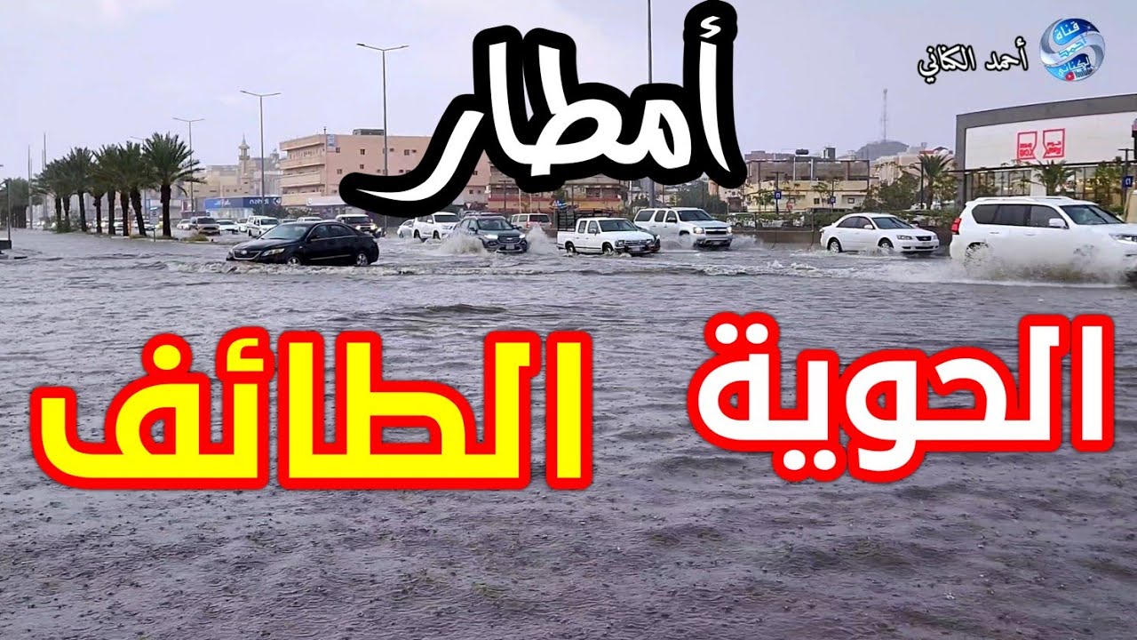 أمطار الحوية - الطائف - منطقة مكة المكرمة - الجمعة 22-4-1446 #السعودية #امطار