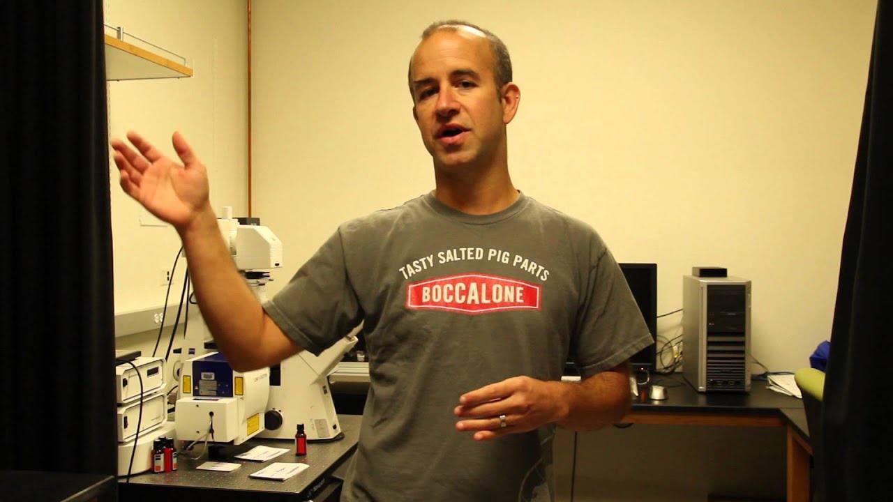 New undergraduate course about science fiction and stem cells