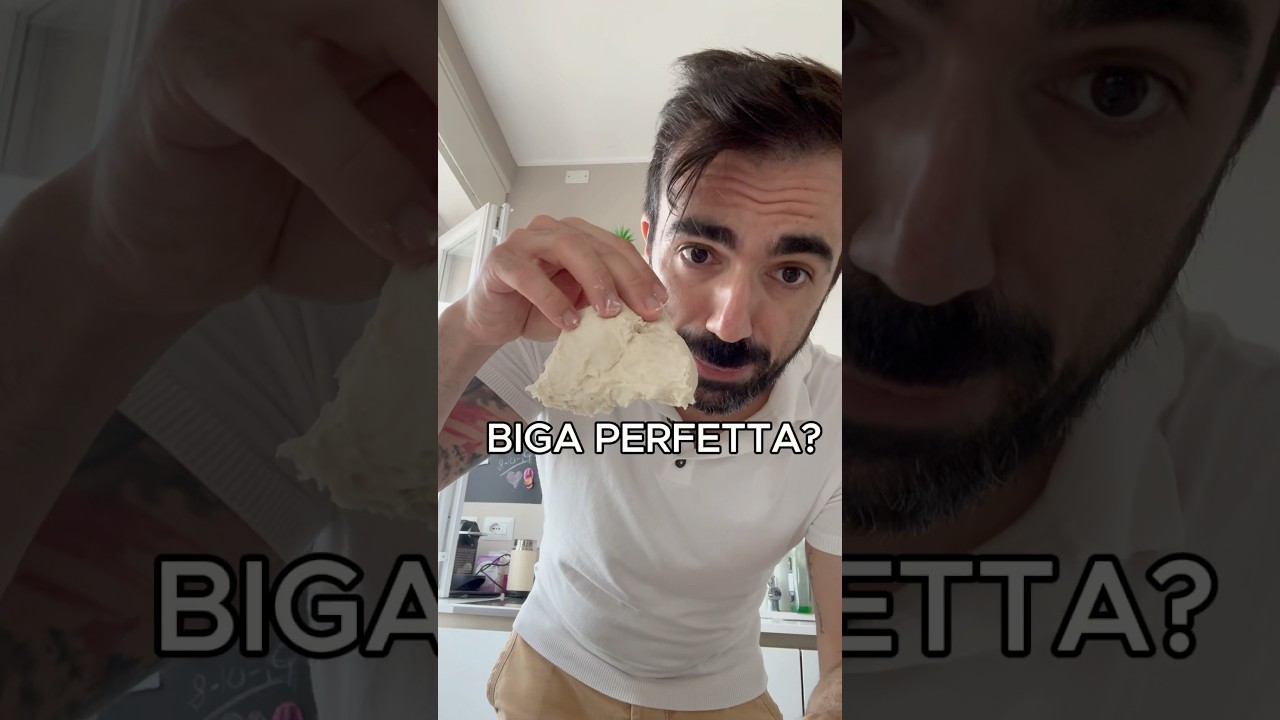 Biga #biga #pane #lievitati #panificazione