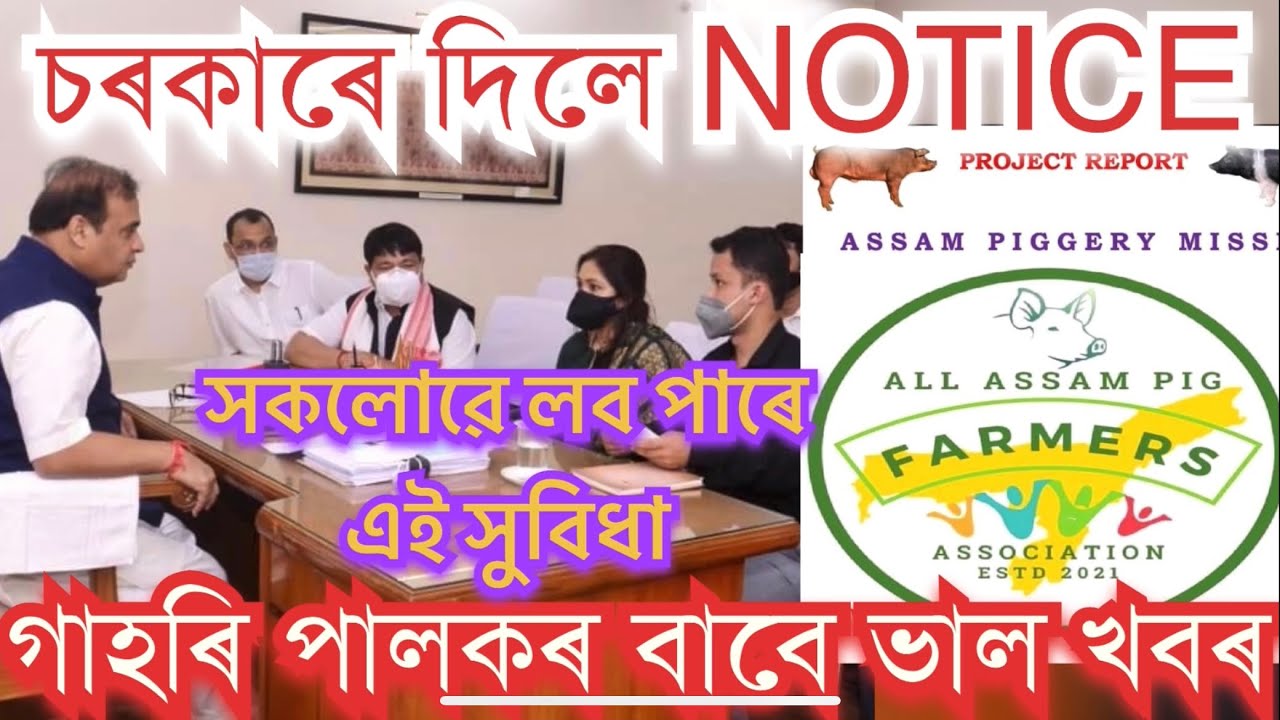অৱশেষত আহিল ভাল খবৰ।50% subsidy Loan জনালে উদ্যোগী দেৱৰাজ দেৱে।Pig farm Loan #uparjan #pranjalgogoi