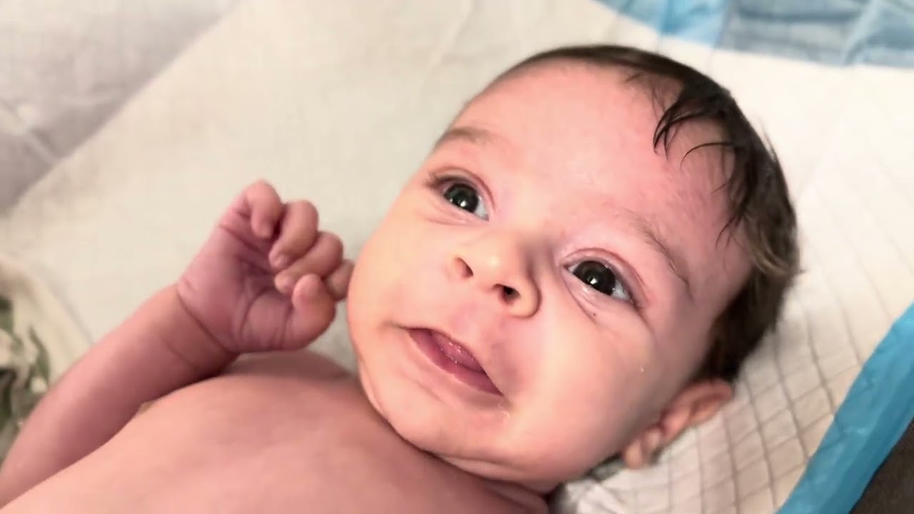 Remy 1mo