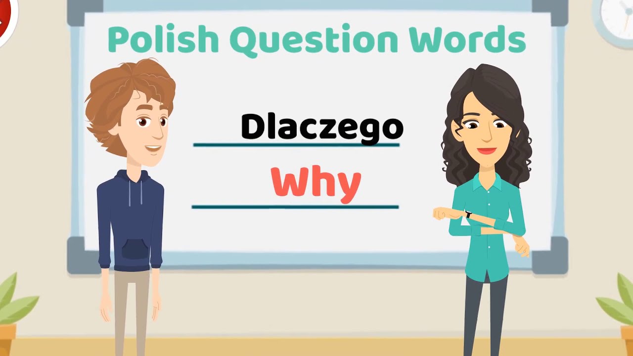 Polish Question Words Polish Grammar