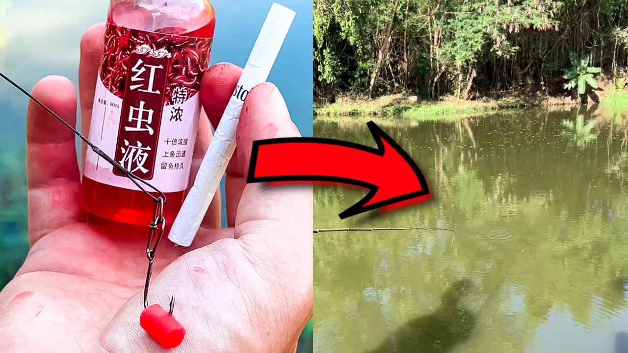Essa isca de verme concentrado com cigarro promete ser infalível na pescaria