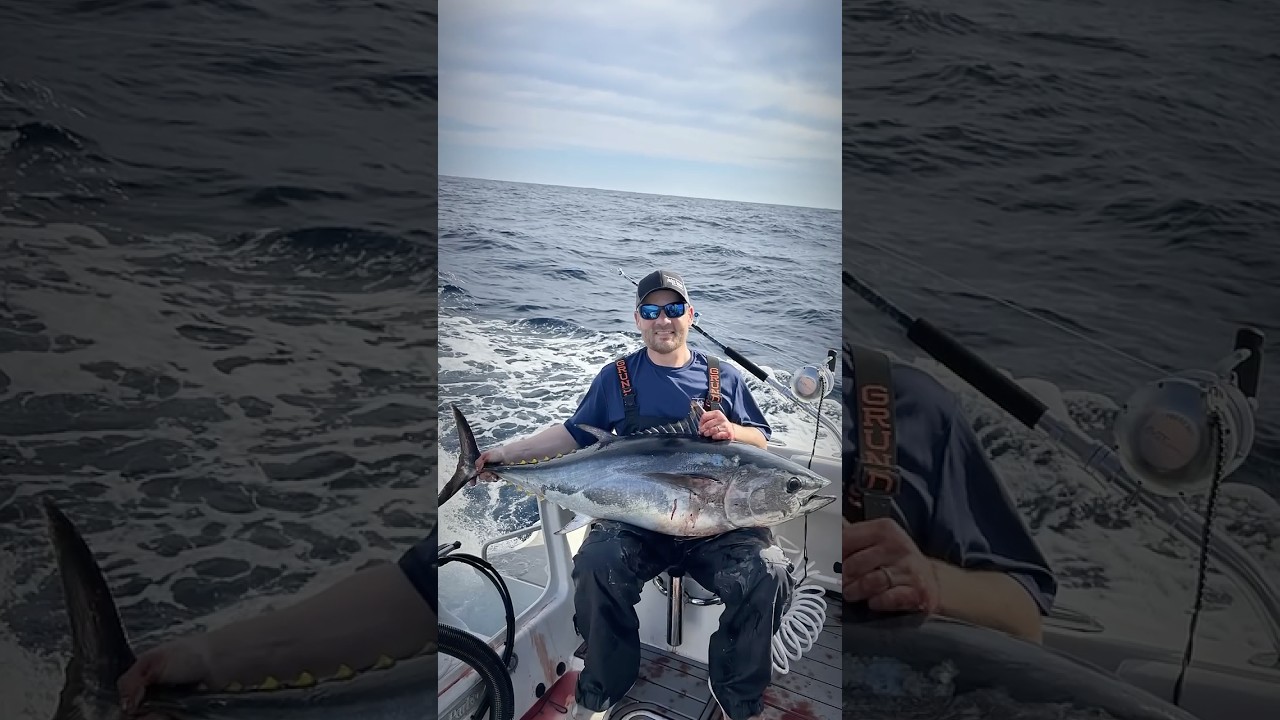 Oregon Inlet Bluefin Tuna March 2026