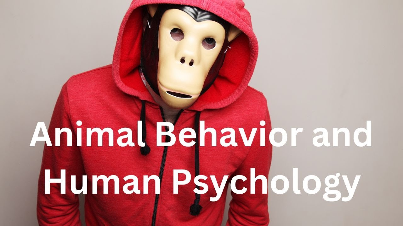 Animal Behavior and Human Psychology
