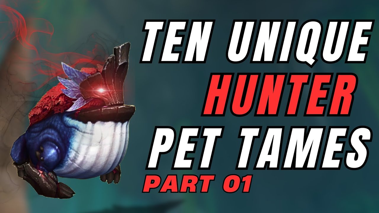10 Unique Hunter Pet Tames | 4K World of Warcraft | Dragonflight