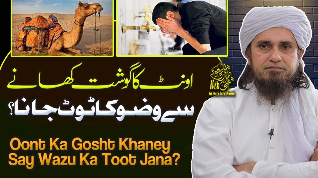 Oont Ka Gosht Kaney Se Wuzu Toot Jata Hai | Ask Mufti Tariq Masood