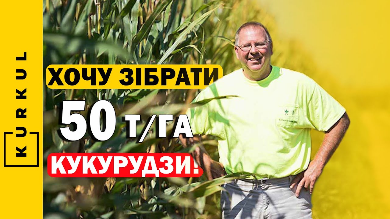 Як зібрати 40 тонн кукурудзи з гектара — секрети рекорду Девіда Хули / Куркуль