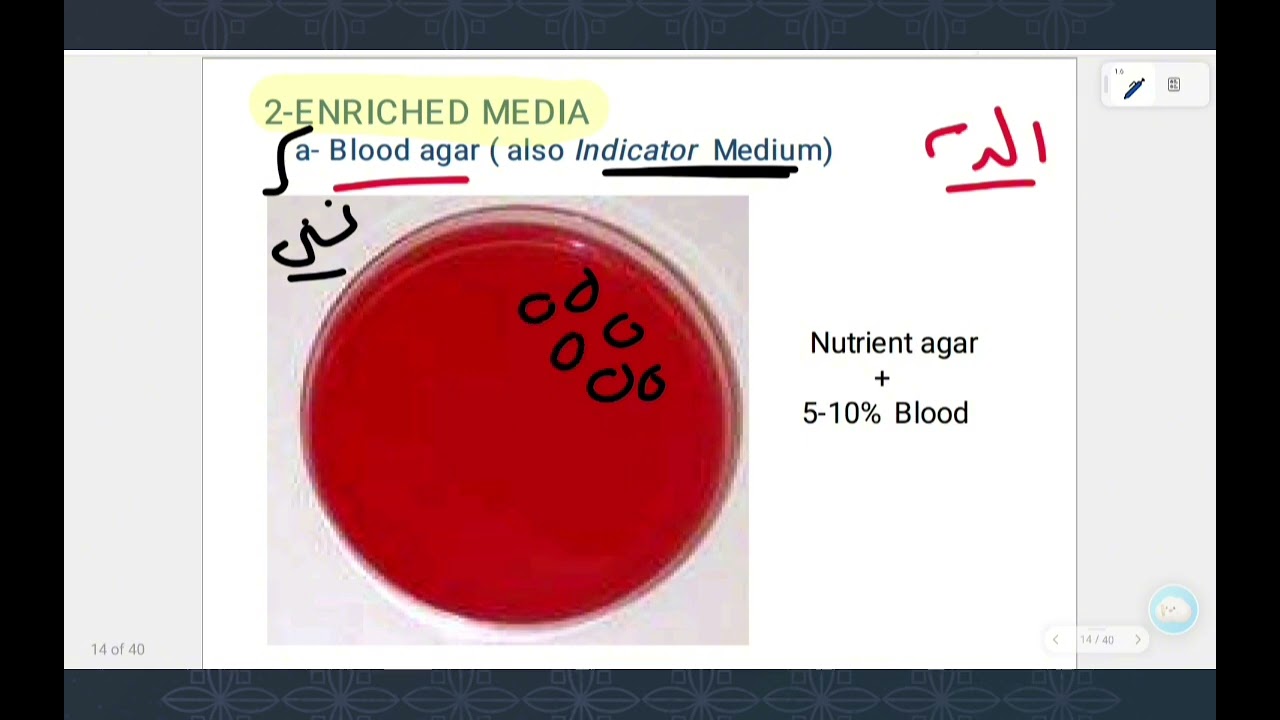 Revision practical 1