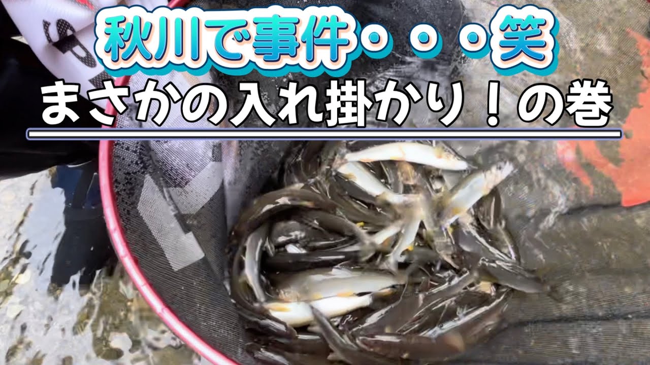 秋川で嬉しい！初体験^ ^入れ掛かりを体験