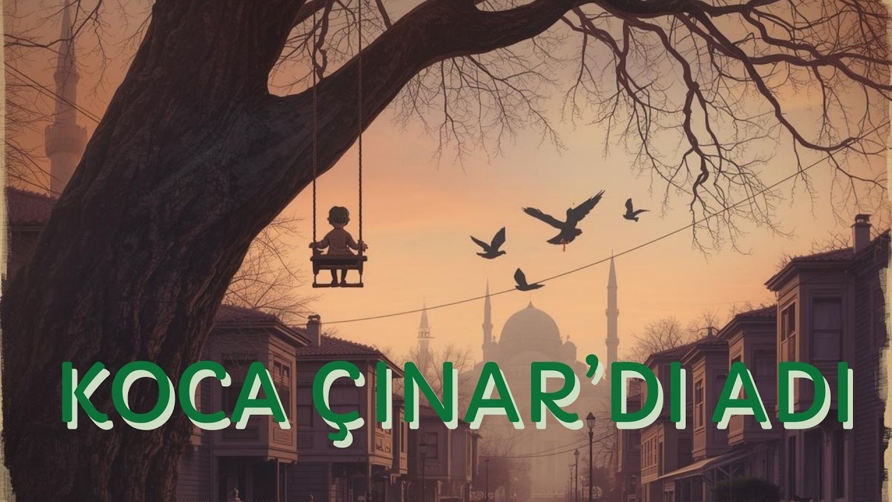 GERBERA-'Koca Çınar’dı adı