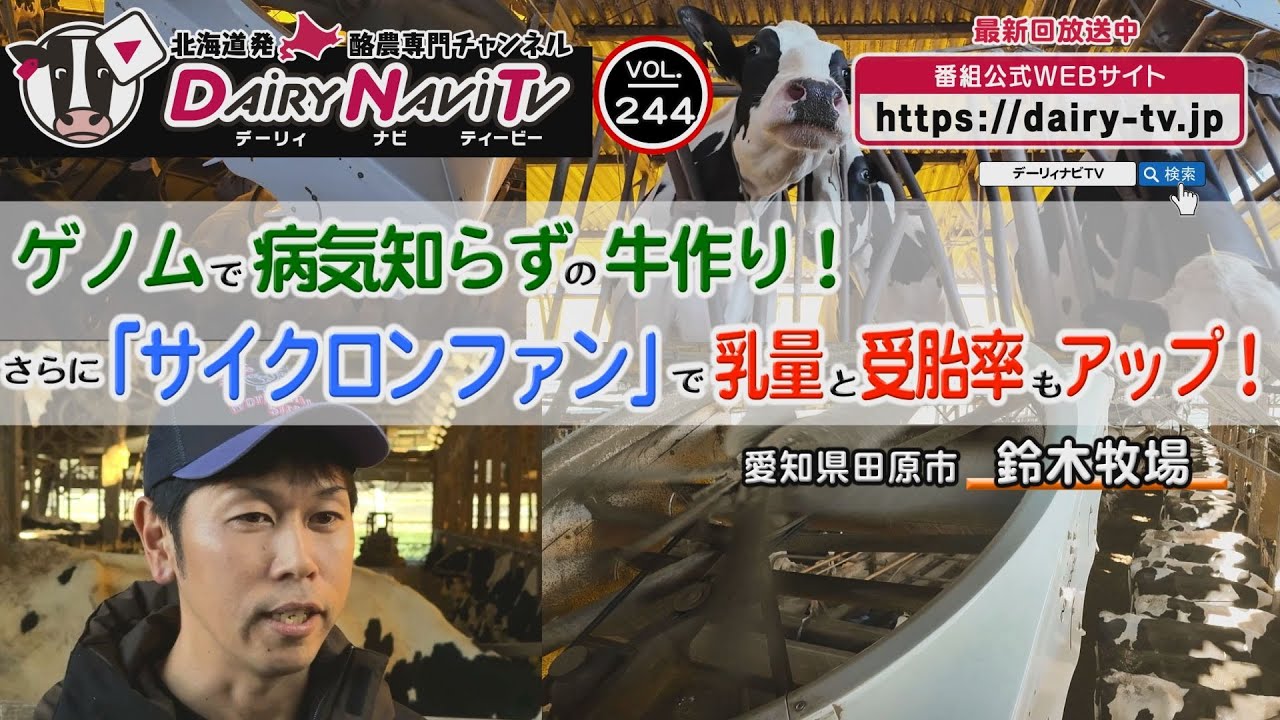 デーリィナビTV #244『ゲノムで病気知らずの牛作り！ さらに「サイクロンファン」で乳量と受胎率もアップ！』愛知県田原市　鈴木牧場