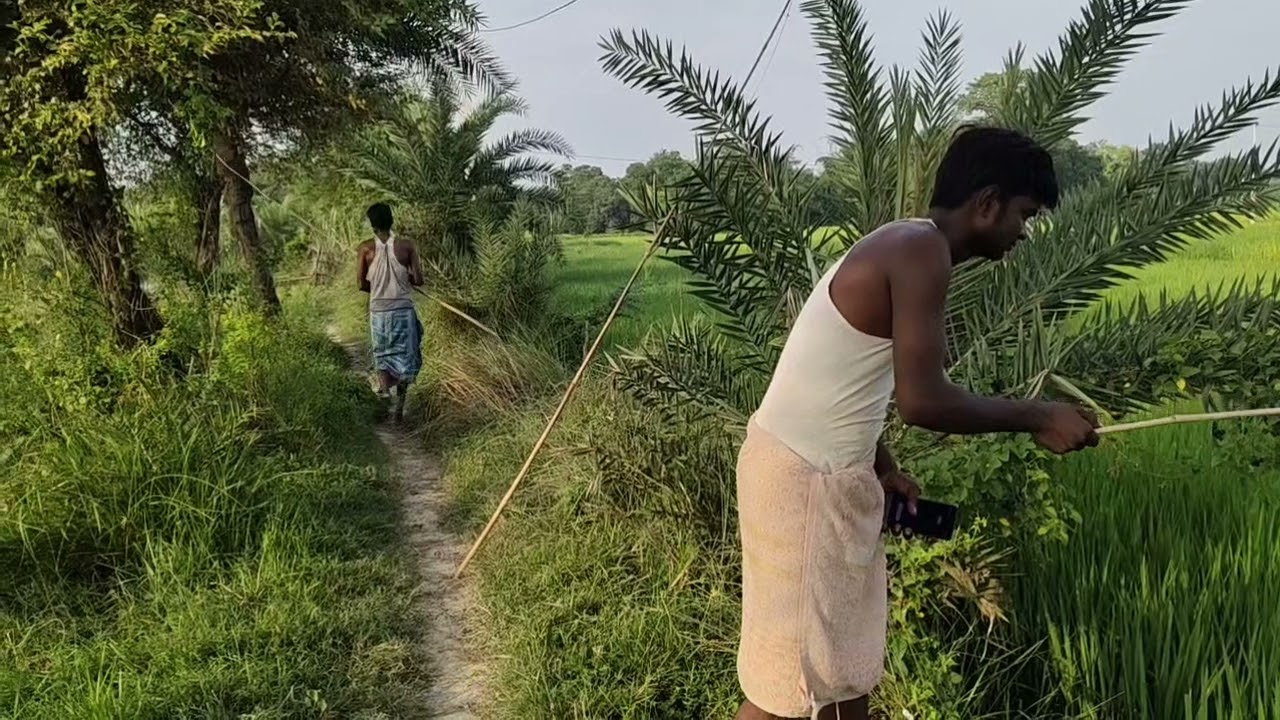 Mr. Fishing Vlogs || Village People's Daily Hook Fishing 🐟🐠🎣