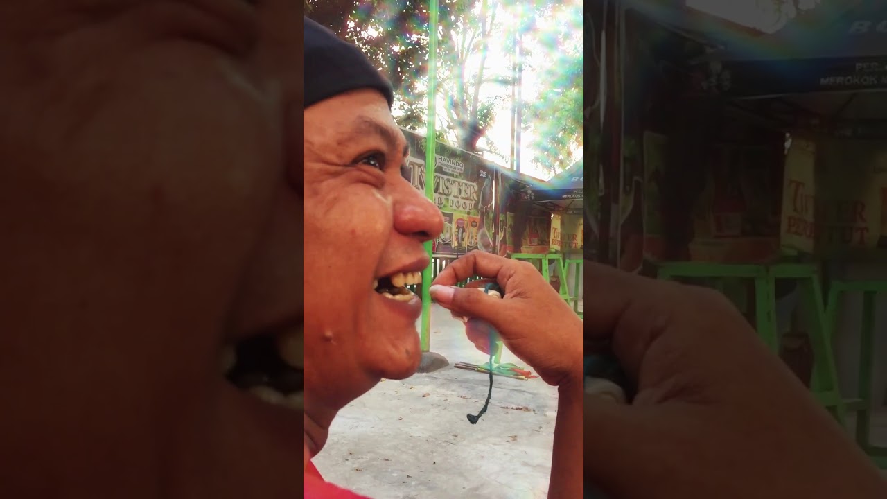 KACER TRAGIS, Dirawat tiap hari malah MBAGONG #kacergacor #shortviral