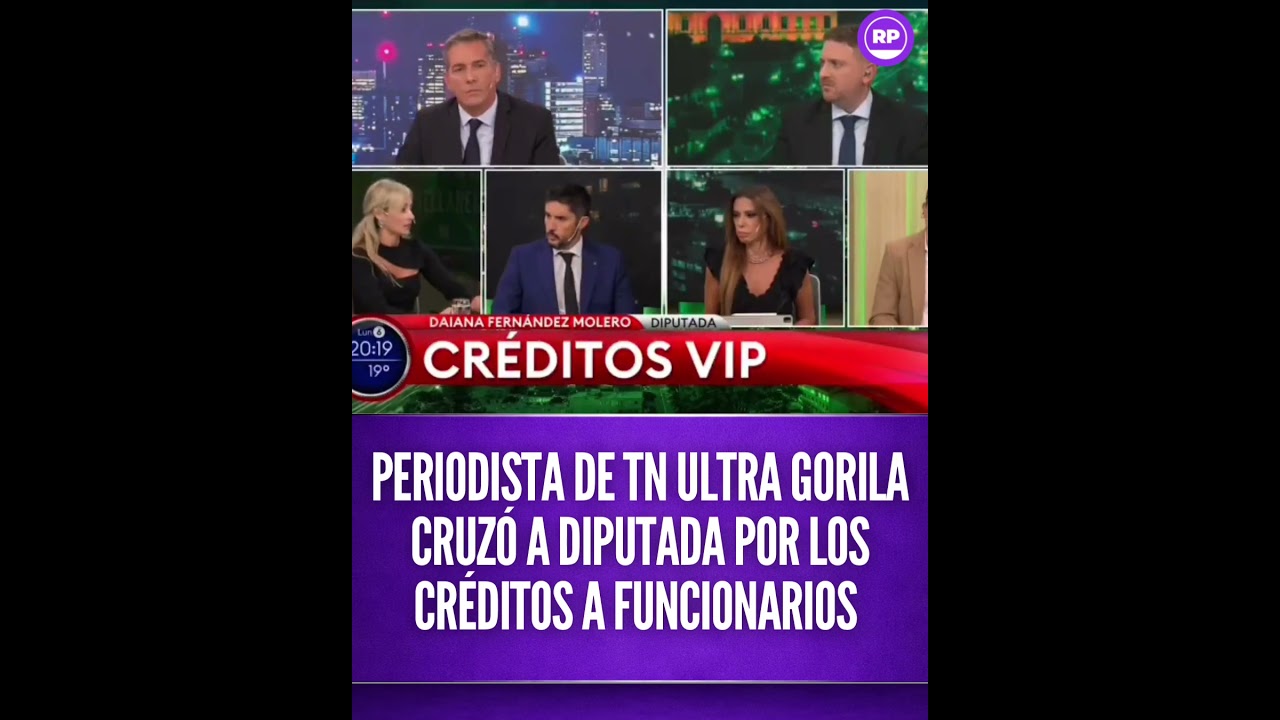 PERIODISTA DE TN ULTRA GORILA CRUZ&Oacute; A DIPUTADA POR LOS CR&Eacute;DITOS A FUNCIONARIOS