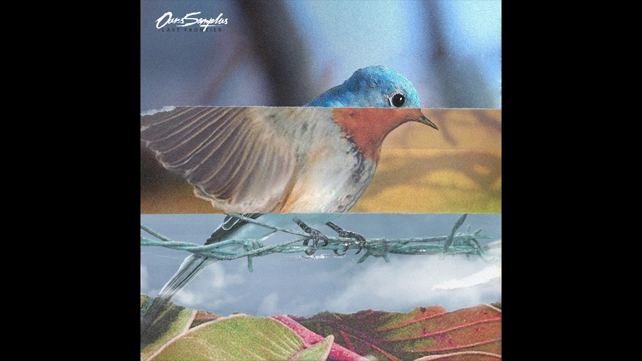Ours Samplus - Metal Leaves