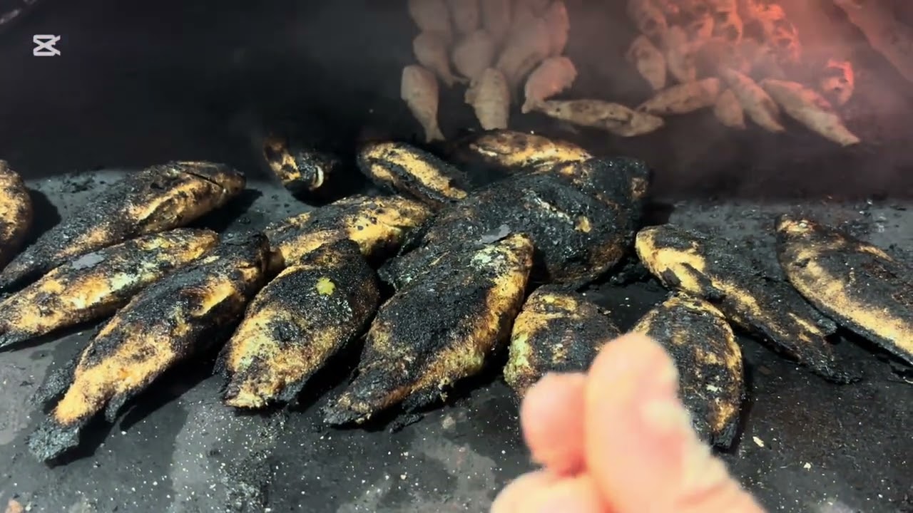 طريقة عمل الأرز إلابيض بالزيت وسمك المشوي 🐟مع احلي الحبايب👩‍❤️‍👩