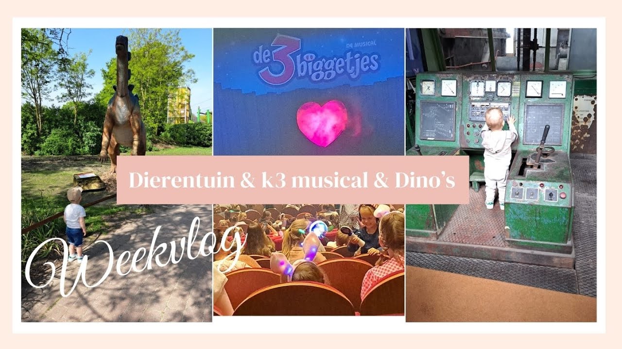 Bezoek aan de dierentuin! k3 musical, kapper & zomerfun WEEKVLOG 2024  MommyOfLouie