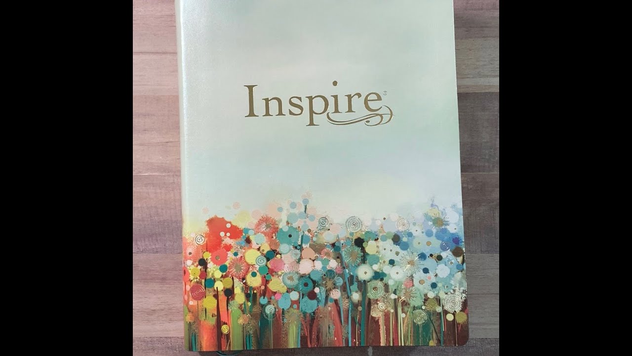 Inspire Bible LARGE PRINT Bible Review