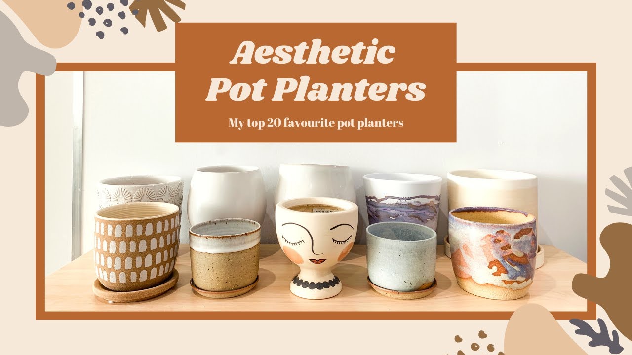 Where to find aesthetic pots for houseplants | Sydney & Australia-wide