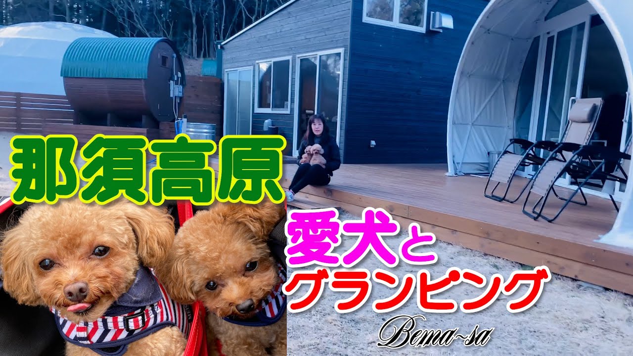 【那須高原愛犬との旅】PartⅠ★グランピング B&V 那須高原