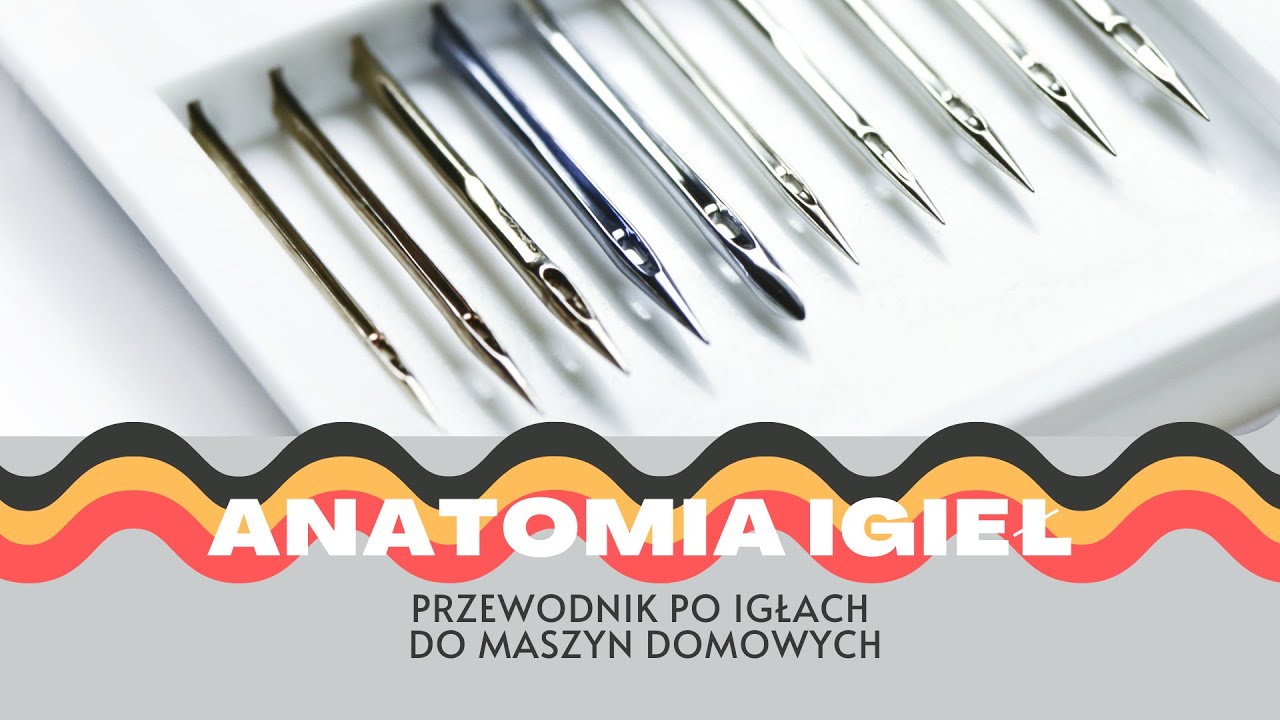 Anatomia igieł