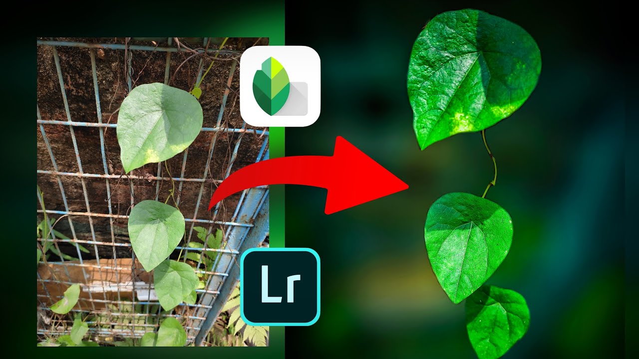 INSTAGRAM viral photo 😍 editing using LIGHTROOM & SNAPSEED 🔥 part-2 || Something Different
