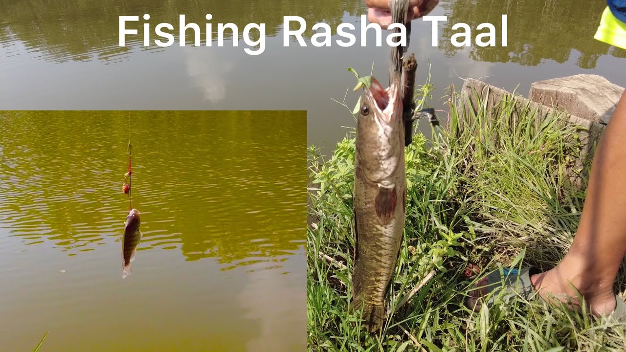 Fishing at Rasha taal 64 bigha panchyan